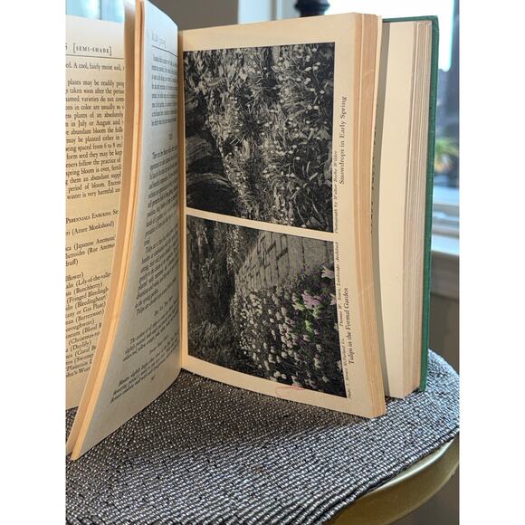 Vintage 1948 America’s Garden Book – Scribner’s Sons Illustrated Gardening Guide - Picture 8 of 11